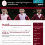 Cuddington Community Primary School Inside Page by Greenhouse School Websites