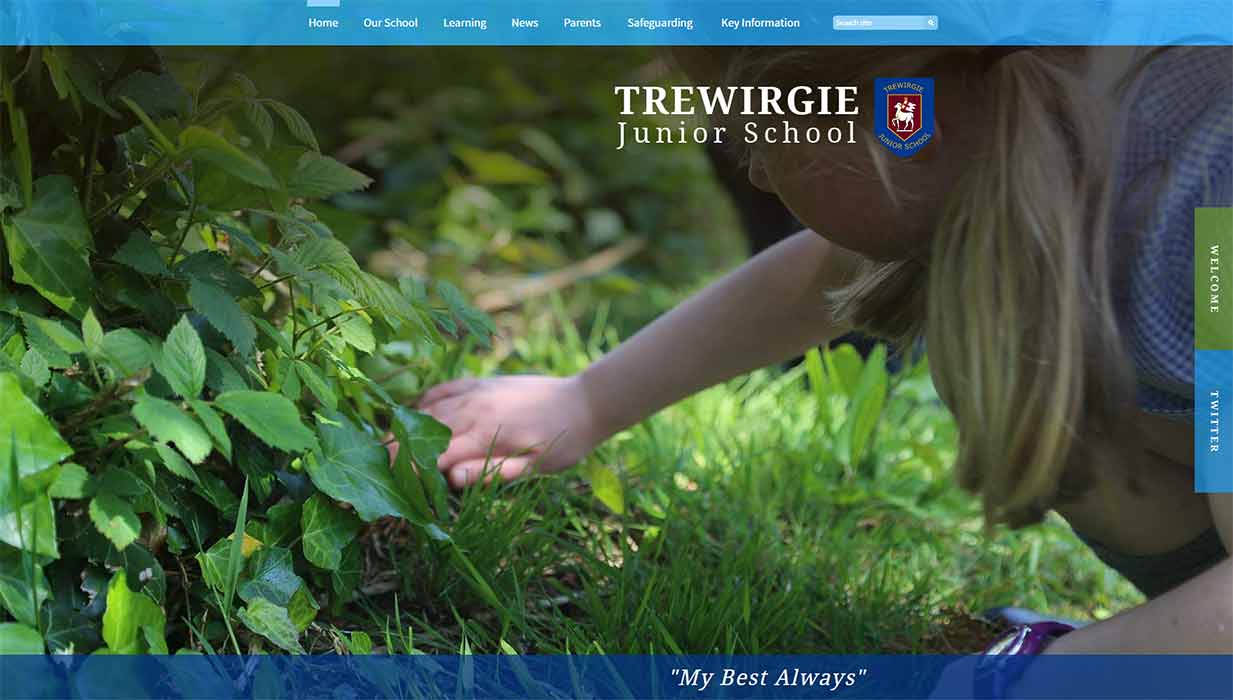 Trewirgie school website design